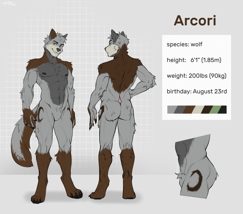 2022 5_fingers abs absurd_res anthro arcori areola back_muscles biceps big_muscles biped black_areola black_claws black_nails black_nipples black_pawpads boots_(marking) brown_body brown_fur butt butt_muscles canid canine canis character_name cheek_tuft chest_tuft claws color_swatch colored colored_nails crotch_tuft deaddomovec deltoids digital_drawing_(artwork) digital_media_(artwork) digitigrade elbow_tuft english_text eyebrows facial_tuft featureless_crotch feet fingers fluffy fluffy_tail forearm_muscles front_view full-length_portrait fur fur_markings geometric_background gloves_(marking) green_eyes grey_background grey_body grey_fur grey_hair grey_nose grid_background hair hand_on_hip head_tilt hi_res hindpaw humanoid_hands information looking_at_viewer male mammal markings measurements model_sheet multiple_poses muscular muscular_anthro muscular_butt muscular_male muscular_thighs nails neck_tuft nipples nude obliques pattern_background pawpads paws pecs portrait pose quads rear_view serratus shoulder_tuft side_view simple_background smile smiling_at_viewer smirk solo species_name tan_body tan_fur text toes triceps tuft v-cut wolf