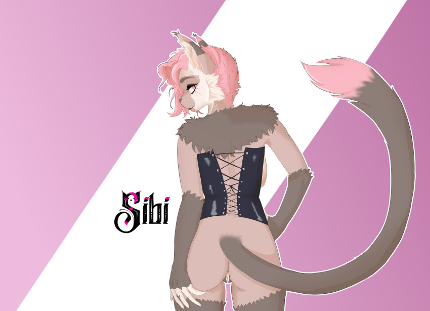 absurd_res anthro anus butt clothing corset domestic_cat felid feline felis female genitals hi_res lingerie maine_coon mammal pussy sibi_(sibi_the_messtress) sibi_the_messtress sibithia_the_cat solo topwear