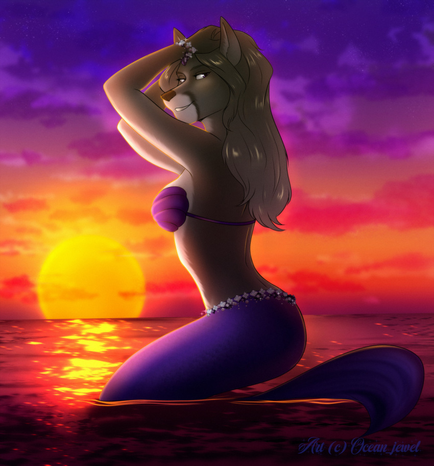 2022 aleka_(masterofwolves99) anthro beach bracelet breasts canid canine clothed clothing female fox fur grey_body grey_fur hair hi_res jewelry long_hair looking_at_viewer looking_back looking_back_at_viewer mammal marine masterofwolves99 merfolk ocean_jewel outside pinup pose sea seashell_bra seaside silver_hair smile solo split_form sun sunset water watermark