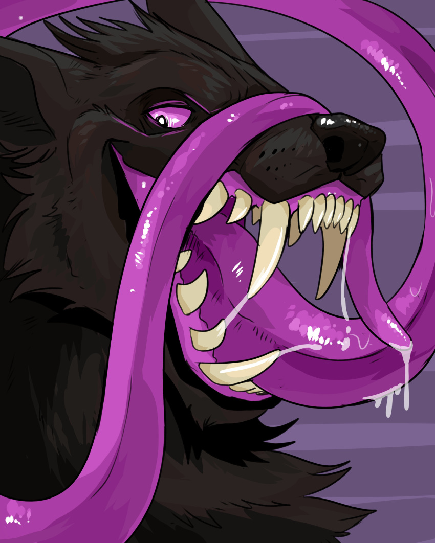 absurd_res big_fangs black_body black_ears black_fur black_head_tuft black_inner_ear black_nose bodily_fluids canid cheek_tuft chest_tuft facial_tuft fur glistening glistening_eyes head_tuft headshot_portrait hi_res imperatorcaesar long_tongue mammal open_mouth open_smile portrait purple_tongue saliva saliva_on_tongue saliva_string smile solo tongue tongue_out tuft