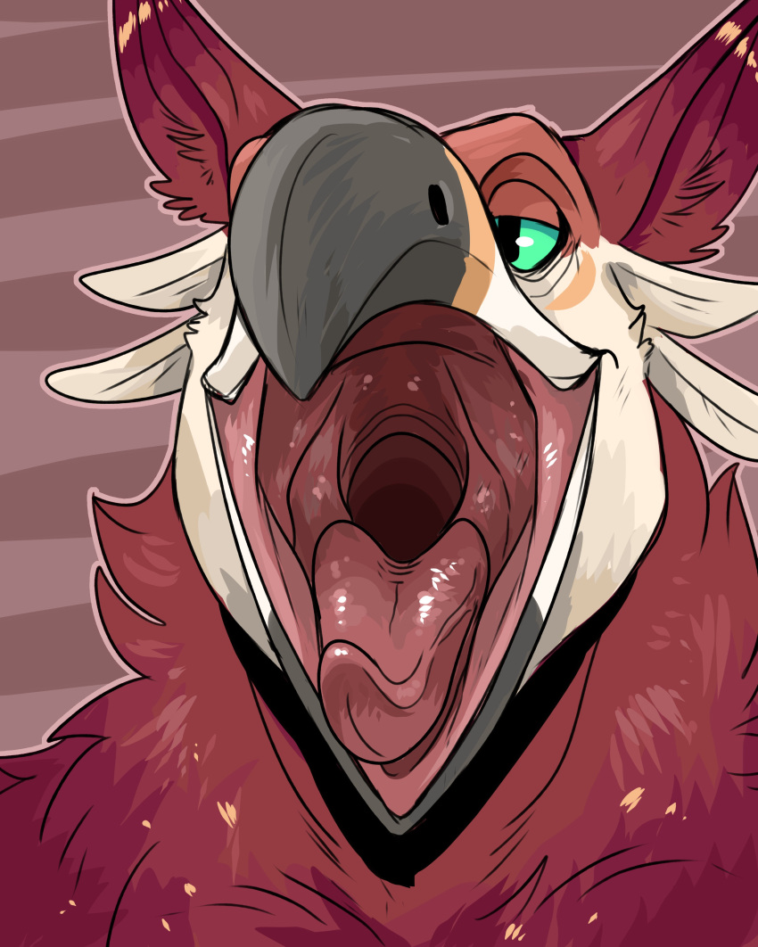 absurd_res ambiguous_gender anthro beak bust_portrait feathers front_view fur glistening glistening_eyes glistening_tongue grey_beak half-closed_eyes hi_res imperatorcaesar mouth_shot narrowed_eyes neck_tuft open_mouth orange_beak portrait pupils red_body red_ears red_fur red_inner_ear simple_background slit_pupils solo tongue tuft white_beak white_body white_feathers