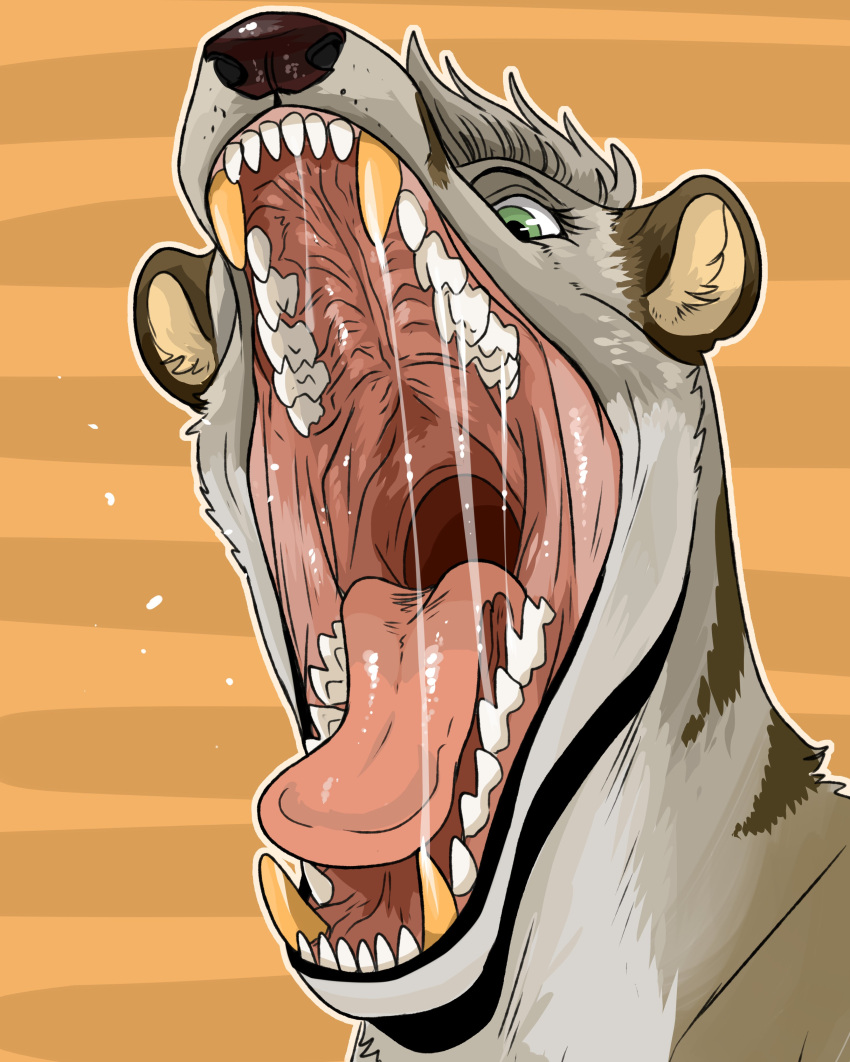 absurd_res anthro bodily_fluids brown_body brown_fur brown_nose brown_stripes dark_nose eyelashes fangs front_view fur glistening glistening_eyes glistening_nose gold_fang green_eyes grey_body grey_fur grey_hair hair hi_res imperatorcaesar inner_ear_fluff male mouth_shot open_mouth pink_tongue saliva saliva_string simple_background solo striped_neck stripes tan_inner_ear tan_inner_ear_fluff tongue tuft