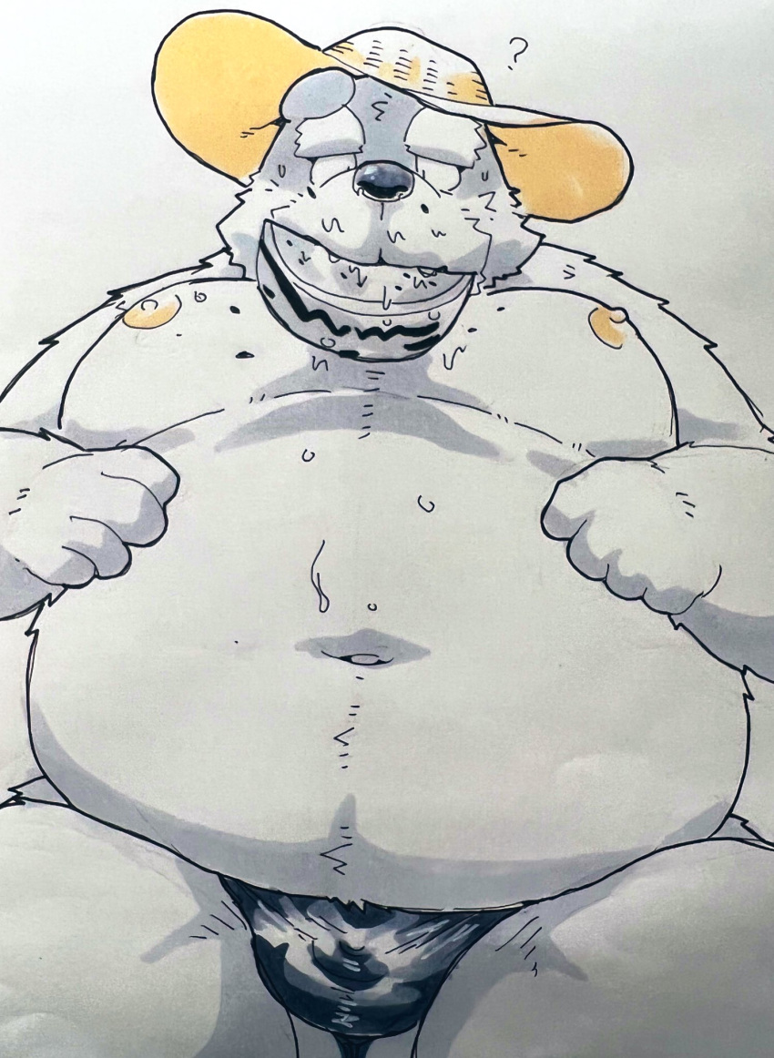 2022 anthro belly big_belly bulge clothing eating food fruit hat headgear headwear hi_res humanoid_hands kemono male mammal melon moobs navel nipples overweight overweight_male plant question_mark solo straw_hat suishou0602 underwear ursid watermelon watermelon_slice