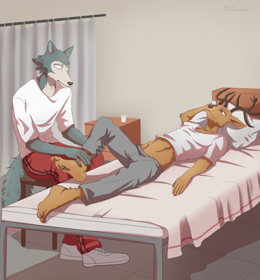 anthro antlers barefoot beastars bed bottomwear brown_body brown_fur canid canine canis cervid cervine chair clothed clothing digital_media_(artwork) duo feet fingers footwear fur furniture grey_body grey_fur hand_on_leg hi_res holding_leg horn legoshi_(beastars) looking_at_another louis_(beastars) lying male mammal midriff on_back pants pillow red_deer shirt shoes simple_background sitting toes tommysamash topwear wolf