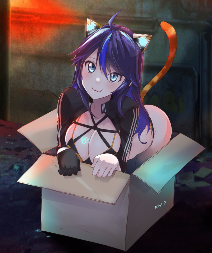 1girl animal_ears ass bangs black_hair blue_eyes blue_hair box breasts cardboard_box cat_ears cat_girl cat_tail cleavage for_adoption highres in_box in_container jacket kivo kson large_breasts long_hair mechanical_ears multicolored_hair solo tail tattoo virtual_youtuber vshojo