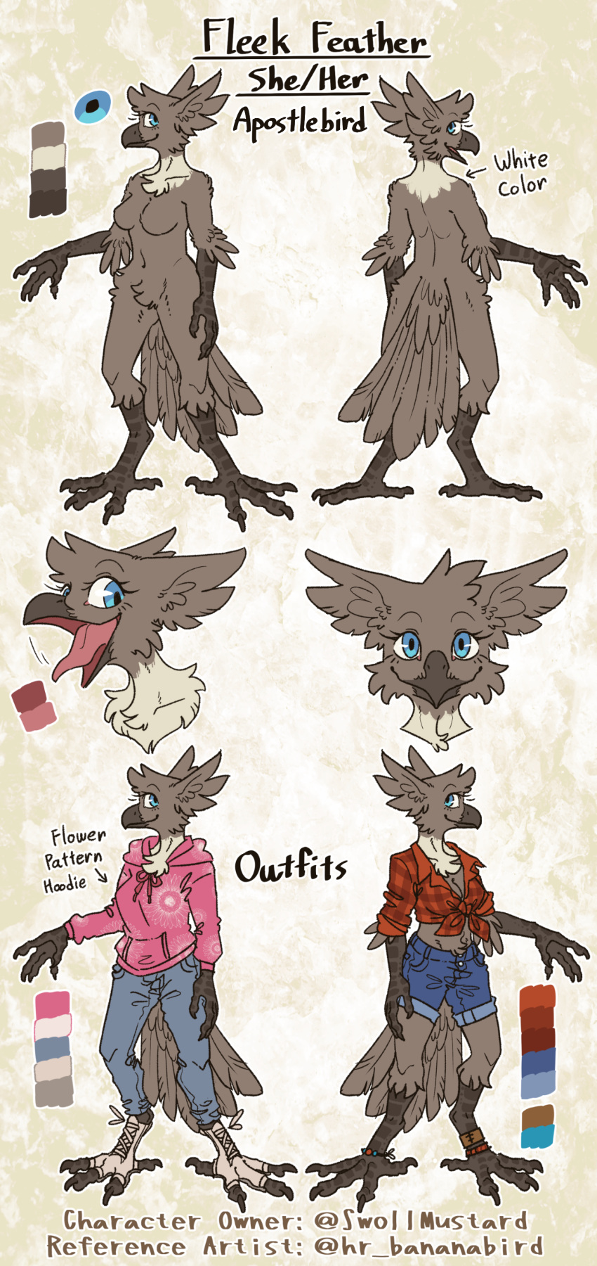 absurd_res anthro apostlebird avian bird clothed clothing corcoracidae corvid female fleek_feather hi_res hr_bananabird model_sheet multiple_poses nude oscine passerine pose solo struthidea_(genus)