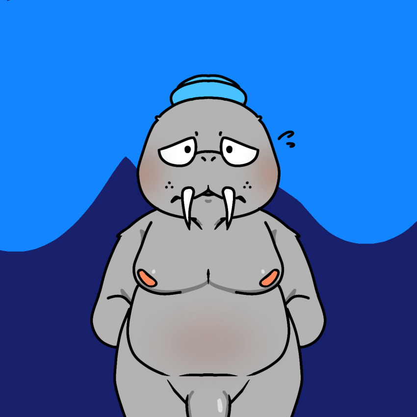 animal_humanoid anthro belly_blush blush bodily_fluids body_blush chubby_male cinnapop genitals hands_behind_back hi_res humanoid looking_back male mammal marine marine_humanoid moobs penis pinniped pinniped_humanoid shipwrecked_64 shy slightly_chubby sweat walrus walrus_humanoid walter_walrus