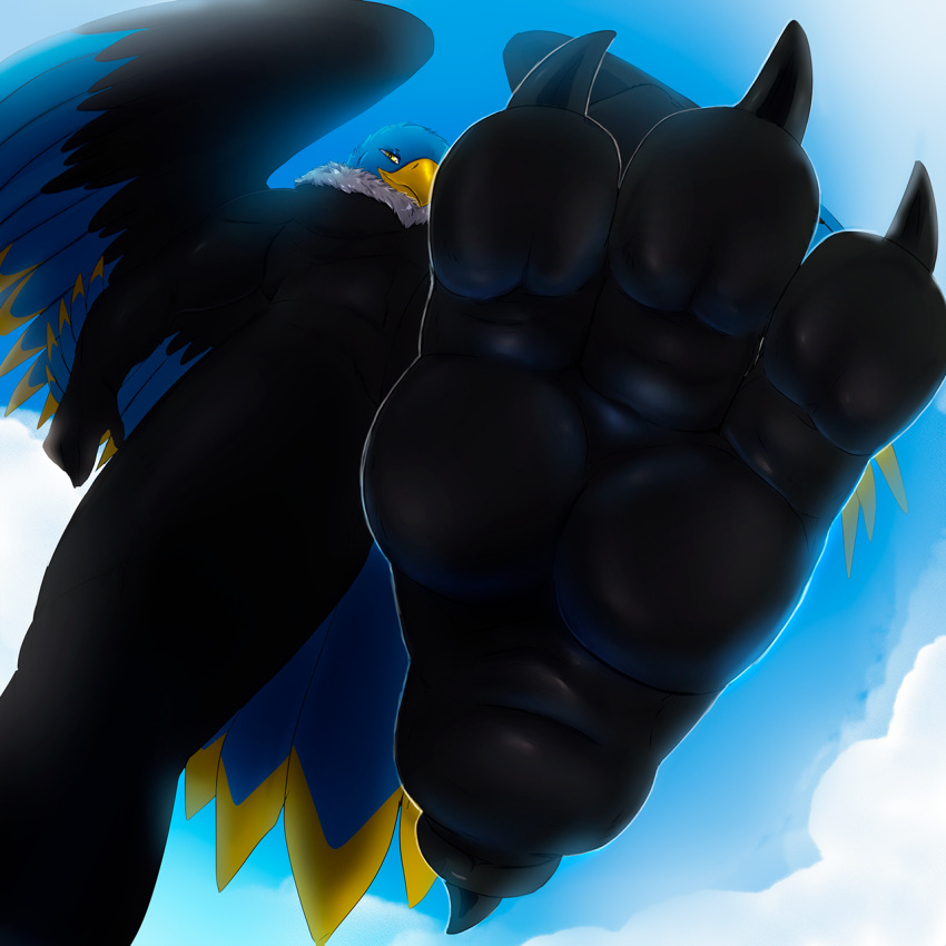 accipitrid accipitriform ahab_(ahugebird) anthro avian back_wings bald_eagle beak bird bird_feet black_body black_feathers blue_body blue_feathers cloud eagle feathered_wings feathers feet foot_fetish foot_focus grey_body grey_feathers hi_res imminent_stomp jazzumi looming low-angle_view macro male mane raised_foot sea_eagle sky smile smirk soles solo stepping tail_feathers talons wings yellow_body yellow_eyes yellow_feathers