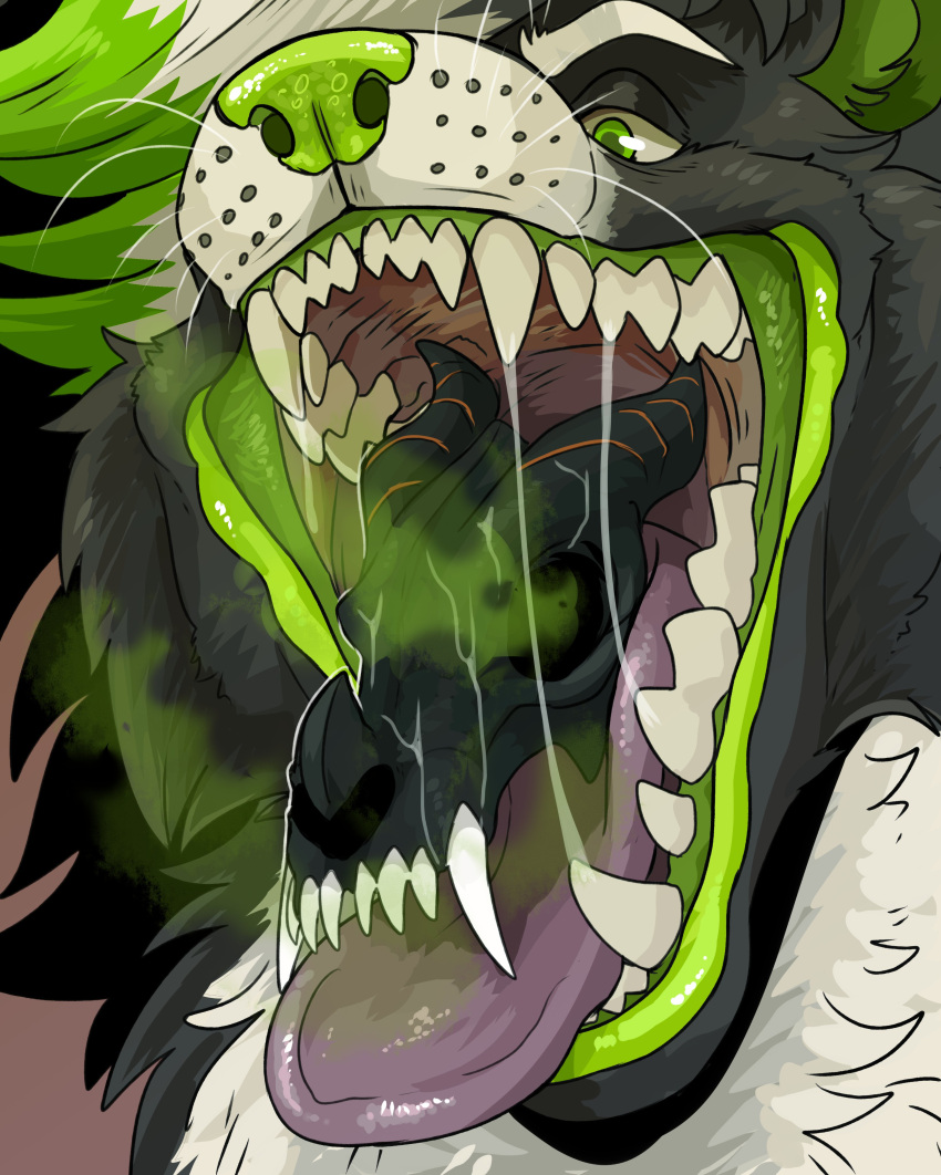 absurd_res ambiguous_gender anthro black_body black_fur bodily_fluids bone cheek_tuft eyebrows facial_tuft fangs front_view fur glistening glistening_eyes glistening_nose glistening_tongue green_eyes green_hair green_nose hair half-closed_eyes hi_res imperatorcaesar mouth_shot multicolored_hair narrowed_eyes open_mouth saliva saliva_string skull solo tongue tongue_out tuft two_tone_hair white_eyebrows white_hair