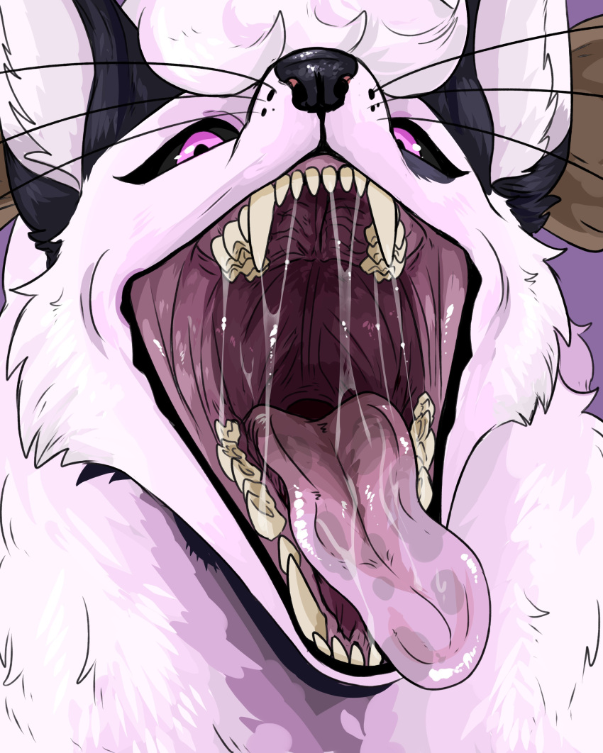 absurd_res ambiguous_gender black_body black_ears black_fur black_lips black_nose black_sclera bodily_fluids canid cheek_tuft facial_tuft fangs front_view fur glistening glistening_eyes glistening_nose hair hi_res imperatorcaesar inner_ear_fluff lips looking_at_viewer mammal mouth_shot open_mouth pink_body pink_eyes pink_fur pink_hair pink_inner_ear pink_inner_ear_fluff purple_background saliva saliva_on_tongue saliva_string simple_background solo tuft