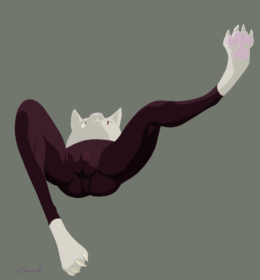 2022 anthro armless balls_outline bulge claws clothing digital_media_(artwork) digital_painting_(artwork) domidii felid feline fur genital_outline hi_res hindpaw lying male mammal on_back paws raised_leg shaded signature simple_background solo solo_focus spread_legs spreading toe_claws white_body white_fur