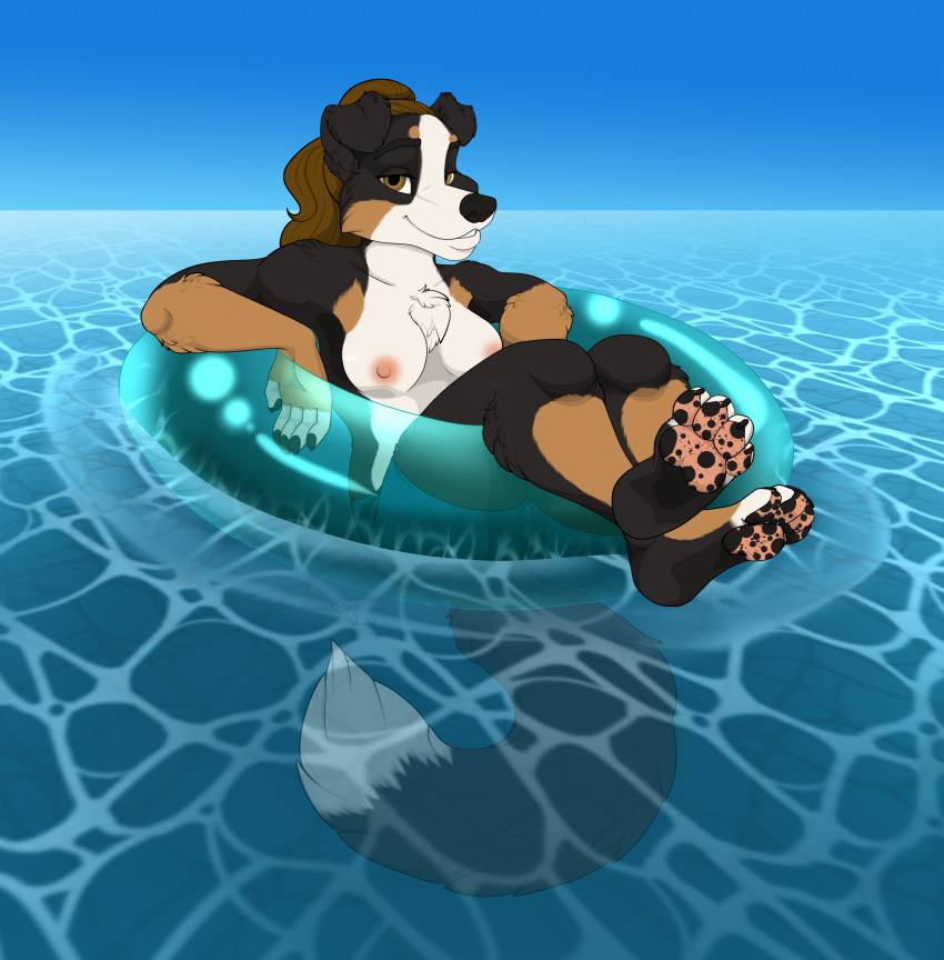 2022 4_toes 5_fingers absurd_res anthro barefoot bernese_mountain_dog bernie_sennenhund black_body black_fur black_nose breasts brown_body brown_fur canid canine canis chest_tuft claws cleavage clothed clothing crossed_legs digital_media_(artwork) domestic_dog feet female finger_claws fingers floating fur hair hi_res hindpaw humanoid_hands inflatable inner_tube looking_at_viewer mammal molosser mottled mottled_pawpads mountain_dog multicolored_body multicolored_fur nipples oli_snowpaw pawpads paws pink_nipples pink_pawpads relaxing smile solo swimming_trunks swimwear swiss_mountain_dog toe_claws toes topless topless_anthro topless_female tuft water white_body white_fur