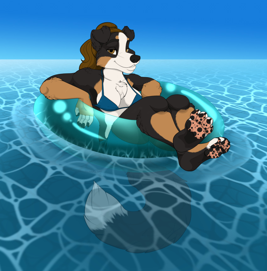 2022 4_toes 5_fingers absurd_res anthro barefoot bernese_mountain_dog bernie_sennenhund bikini bikini_top black_body black_fur black_nose breasts brown_body brown_fur canid canine canis chest_tuft claws cleavage clothed clothing crossed_legs digital_media_(artwork) domestic_dog feet female finger_claws fingers floating fur hair hi_res hindpaw humanoid_hands inflatable inner_tube looking_at_viewer mammal molosser mottled mottled_pawpads mountain_dog multicolored_body multicolored_fur oli_snowpaw pawpads paws pink_pawpads relaxing smile solo swimming_trunks swimwear swiss_mountain_dog toe_claws toes tuft water white_body white_fur