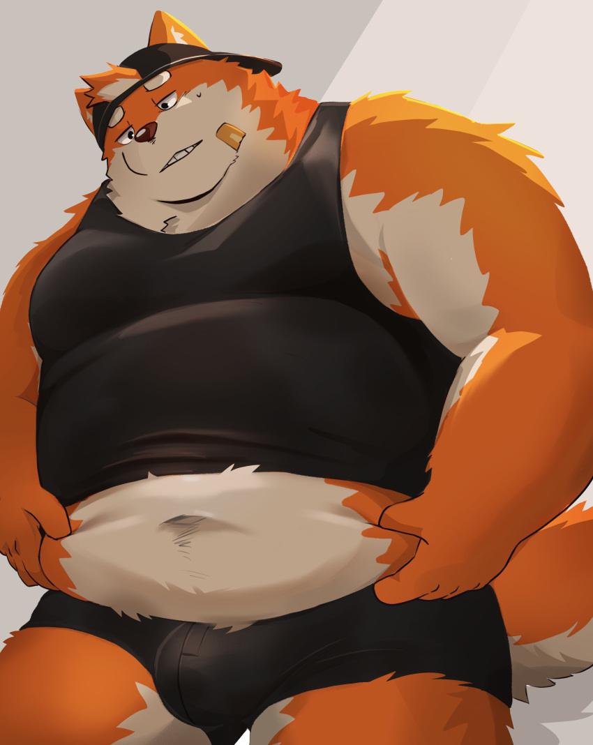 2022 absurd_res anthro band-aid bandage belly big_belly bulge canid canine clothing hat headgear headwear hi_res humanoid_hands kemono male mammal morningbread16 navel orange_body overweight overweight_male solo underwear