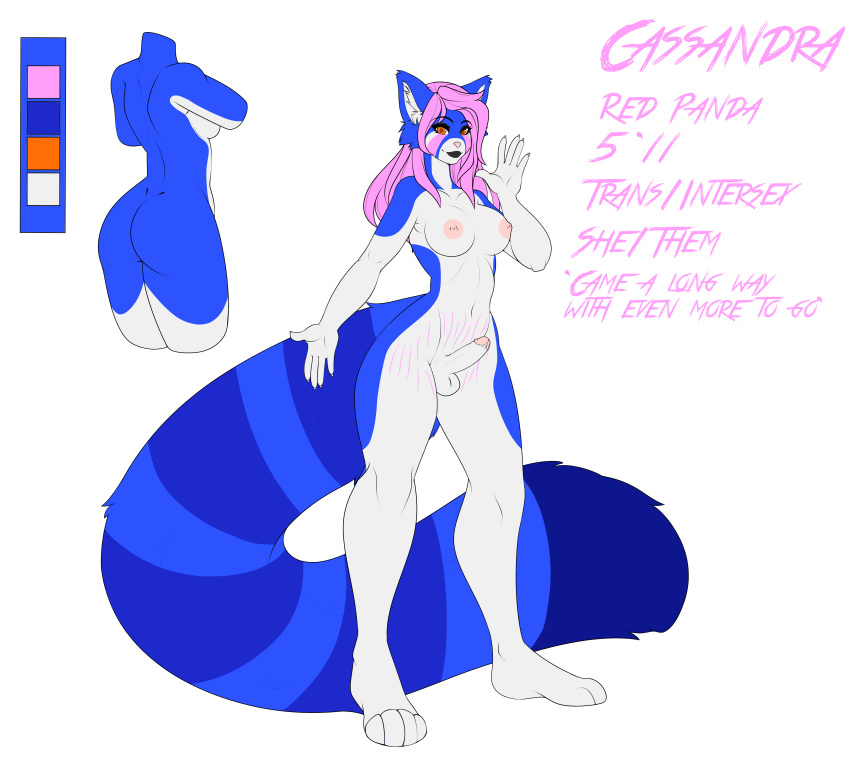 absurd_res ailurid anthro balls black_makeup blue_body blue_fur breasts english_text fur genitals gynomorph hi_res intersex mammal model_sheet nibv nude penis red_panda solo stretch_marks text trans_(lore) trans_woman_(lore) unusual_coloring