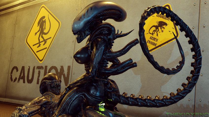 16:9 2020 3d_(artwork) absurd_res alien alien_(franchise) big_breasts big_butt black_body breasts butt cowgirl_position detailed_background digital_media_(artwork) duo female female_on_top female_penetrated from_front_position genitals glowing glowing_genitalia hi_res huge_filesize humanoid long_tail male male/female male_on_bottom male_penetrating male_penetrating_female monster nipples non-mammal_breasts nude on_bottom on_top penetration penile penile_penetration penis penis_in_pussy pussy sex sharp_teeth teeth thekidxeno thick_thighs vaginal vaginal_penetration widescreen xenomorph
