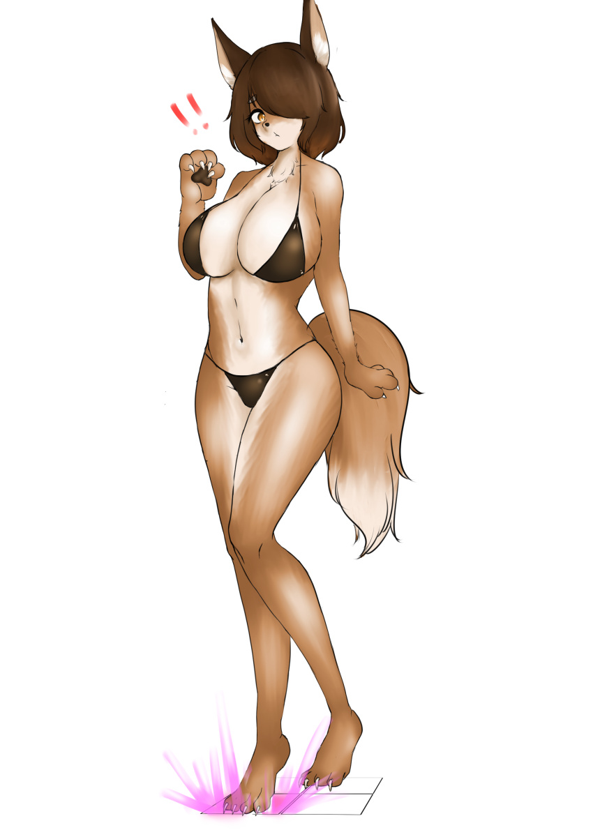 2022 absurd_res animal_humanoid anthro bikini bikini_bottom bikini_top brown_hair canid canid_humanoid canine canine_humanoid clothing female fox_humanoid hair hi_res humanoid implied_transformation mammal mammal_humanoid navel pawpads solo swimwear trap_(contrivance) vuaisu walking