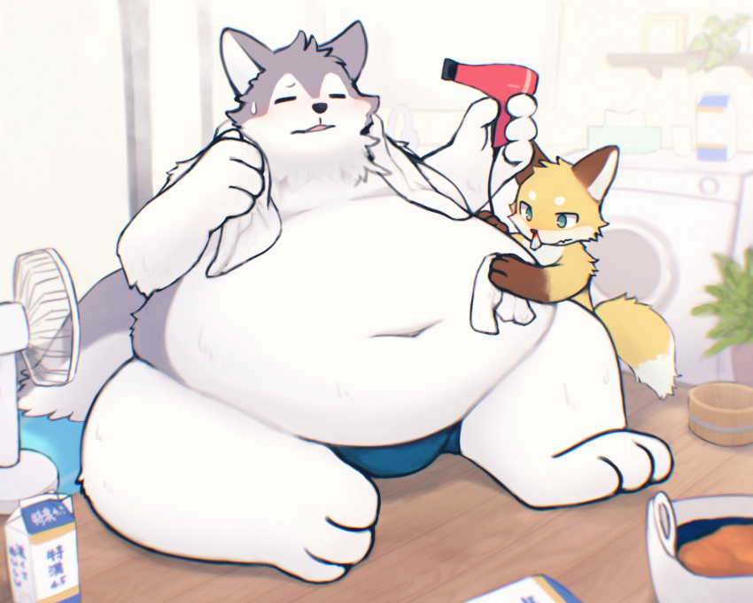 anthro belly big_belly blood blush bodily_fluids canid canine duo fox hi_res larger_anthro larger_male male mammal mechanical_fan milk navel nosebleed obese obese_anthro obese_male overweight overweight_anthro overweight_male size_difference sweat taka_fin9623 towel
