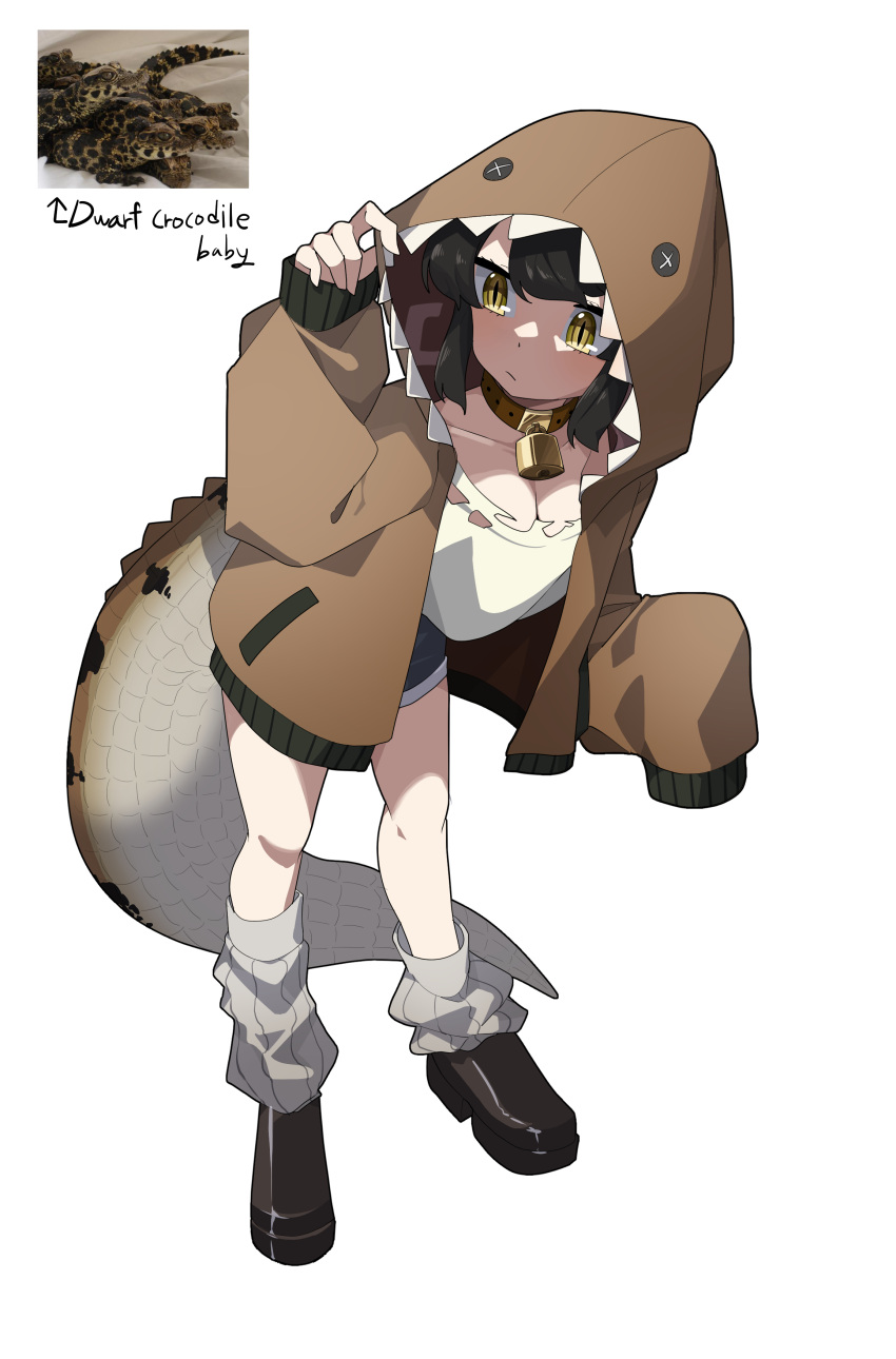 1girl absurdres animal_hood asymmetrical_legwear black_footwear black_hair brown_collar brown_jacket brown_scales closed_mouth collar crocodile_hood crocodilian_tail full_body gomulgong hand_on_headwear hands_up highres hood jacket leg_warmers lock long_sleeves looking_to_the_side open_mouth original padlock padlocked_collar personification photo_inset reptile_girl scales short_hair shorts sidelocks simple_background sleeves_past_fingers sleeves_past_wrists slit_pupils socks solo standing tail uneven_legwear white_background white_socks yellow_eyes