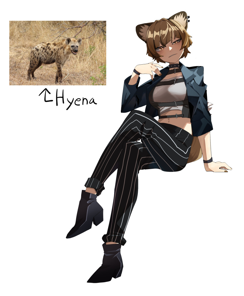 1girl animal black_footwear blue_jacket brown_hair brown_nails collared_jacket colored_sclera cropped_jacket crossed_legs ear_piercing full_body gomulgong grey_sclera hand_up high_heels highres hyena hyena_ears hyena_girl hyena_tail jacket looking_at_viewer midriff orange_eyes original personification photo_inset piercing short_hair simple_background sitting solo striped striped_legwear studded_choker uneven_eyes white_background