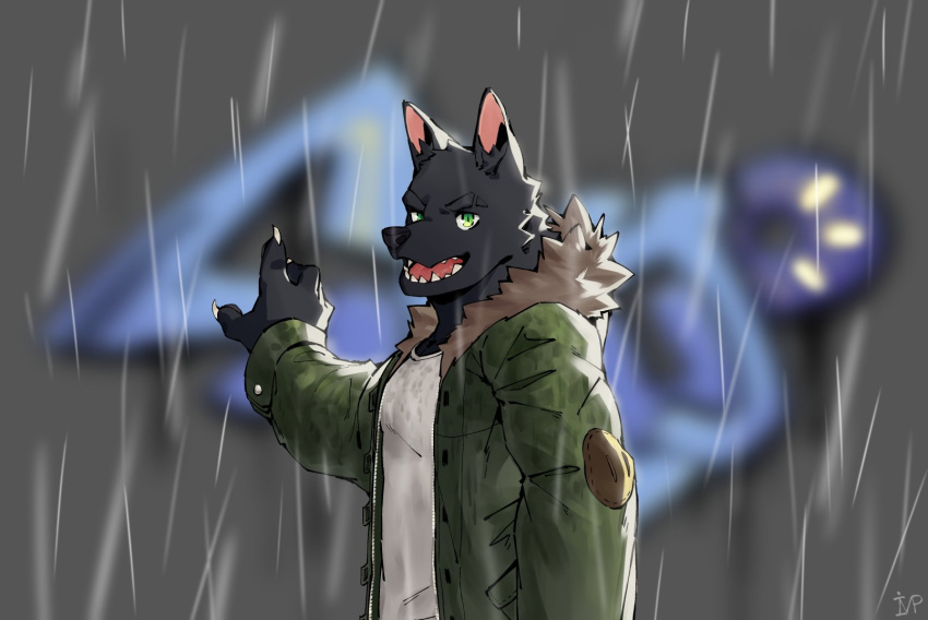 2018 anthro canid canine canis clothed clothing fur gakujo hoodie imptumb male mammal raining solo