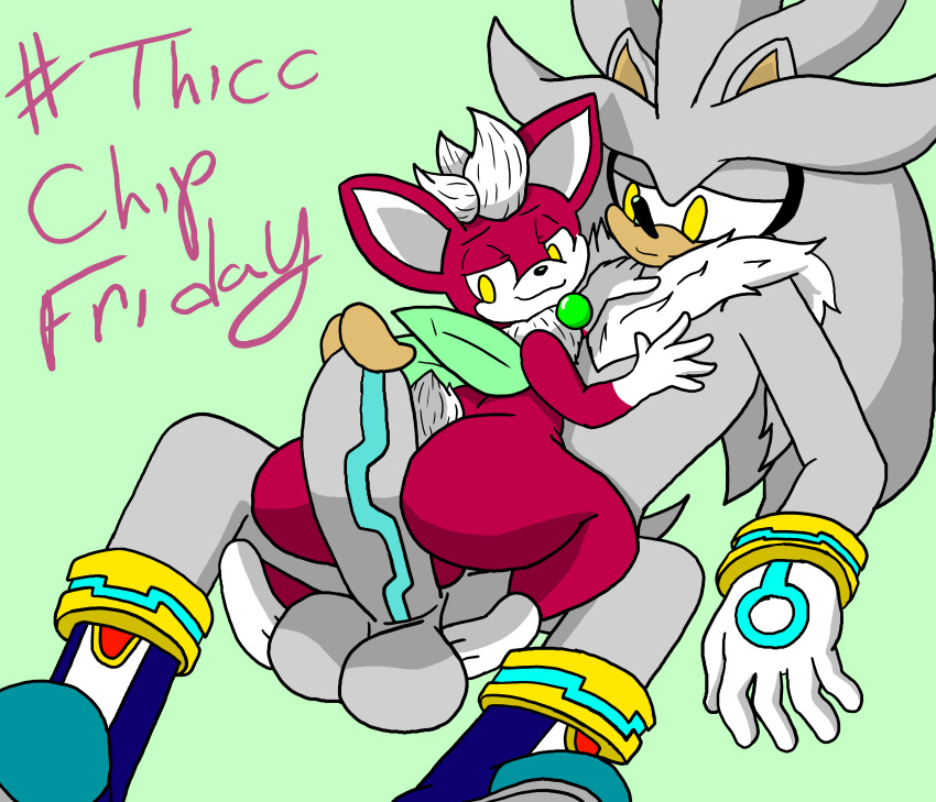 absurd_res anthro chip_(sonic) duo hi_res male male/male sega silver_the_hedgehog sonic_the_hedgehog_(series) sonic_unleashed weebusracoonus