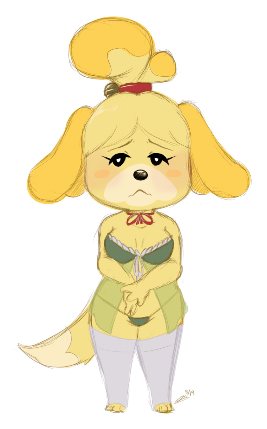 2019 animal_crossing anthro bell bluechika blush breasts canid canine canis clothed clothing dated dipstick_tail domestic_dog female fur hair hi_res isabelle_(animal_crossing) legwear looking_at_viewer mammal markings nintendo panties shih_tzu simple_background solo standing tail_markings toy_dog underwear video_games white_background yellow_body yellow_fur