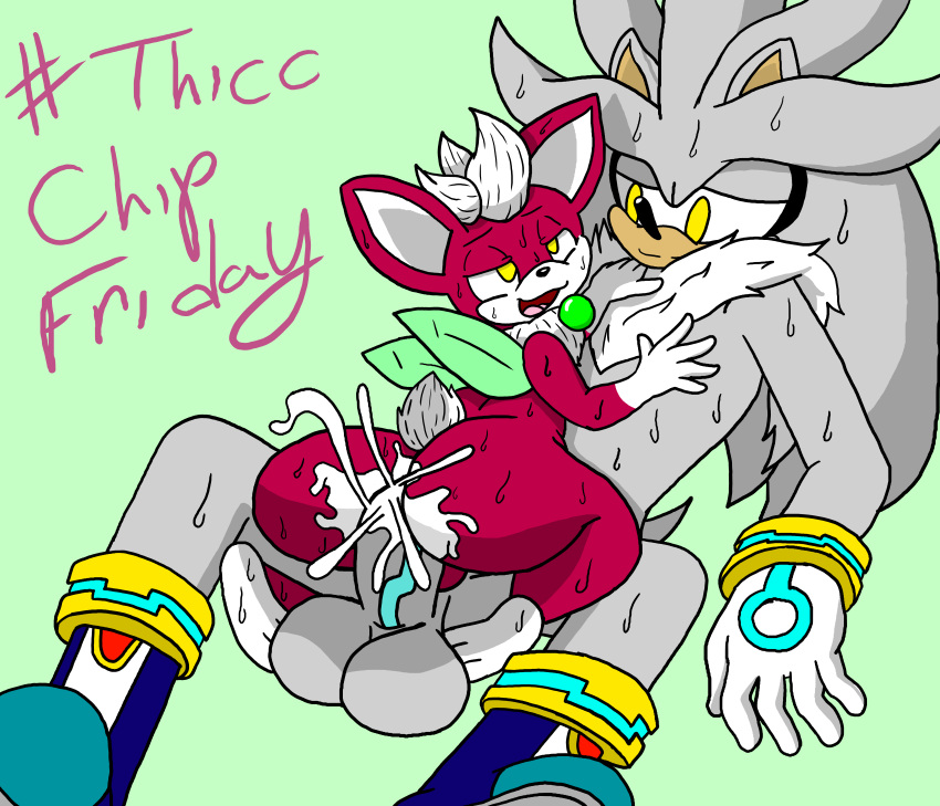 absurd_res anthro chip_(sonic) duo hi_res male male/male sega silver_the_hedgehog sonic_the_hedgehog_(series) sonic_unleashed weebusracoonus