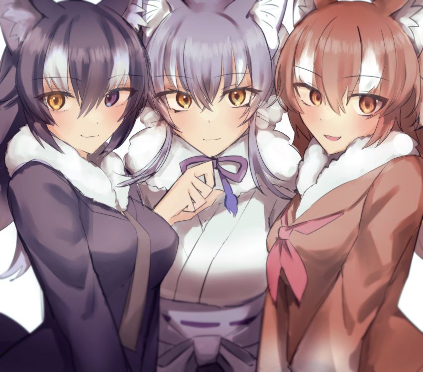 3girls absurdres animal_costume animal_ear_fluff animal_ears black_hair blazer blue_eyes brown_eyes brown_hair closed_mouth grey_wolf_(kemono_friends) highres jacket japanese_clothes japanese_wolf_(kemono_friends) kemono_friends kemono_friends_3 kimono long_hair looking_at_viewer makami_(kemono_friends) mitorizu_02 multiple_girls necktie open_mouth ribbon school_uniform simple_background smile tail white_background white_hair wolf_costume wolf_ears wolf_girl wolf_tail yellow_eyes