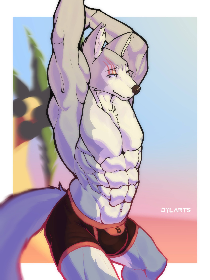 2022 abs absurd_res anthro arms_above_head artist_name barazoku beach beastars big_muscles blurred_background border bulge canid canine canis clothed clothing day dylarts eyebrows fur hi_res legoshi_(beastars) male mammal muscular muscular_anthro muscular_male navel obliques outside palm_tree pecs plant sand scar seaside sky smile solo standing stretching text text_on_clothing text_on_underwear topless topless_anthro topless_male tree tuft underwear white_border wolf