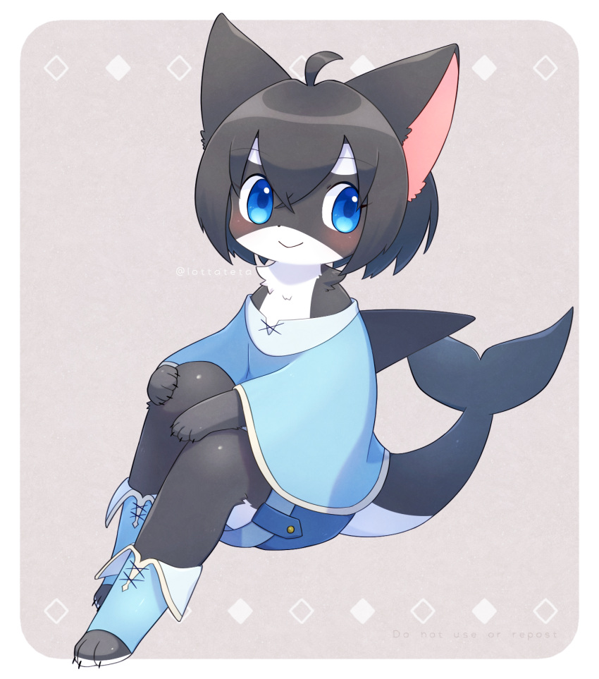 2022 ambiguous_gender anthro big_ears black_body black_fur black_hair blue_eyes blush bottomwear cetacean claws clothing delphinoid digital_media_(artwork) fin footwear fur hair hi_res hybrid kemono mammal marine multicolored_body multicolored_fur oceanic_dolphin orca pink_inner_ear shirt shoes short_hair shorts sitting smile solo toothed_whale topwear tsunagi_shin tuft two_tone_body two_tone_fur white_body white_fur