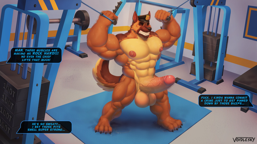 anthro balls big_balls big_penis bodily_fluids canid canine canis clothing dialogue domestic_dog english_text erection exercise foreskin genitals german_shepherd glans gym hat headgear headwear herding_dog hi_res humanoid_genitalia humanoid_penis male mammal muscular muscular_male nipples nude offscreen_character pastoral_dog penis police_hat retracted_foreskin solo sweat text vein veiny_penis voidlesky workout