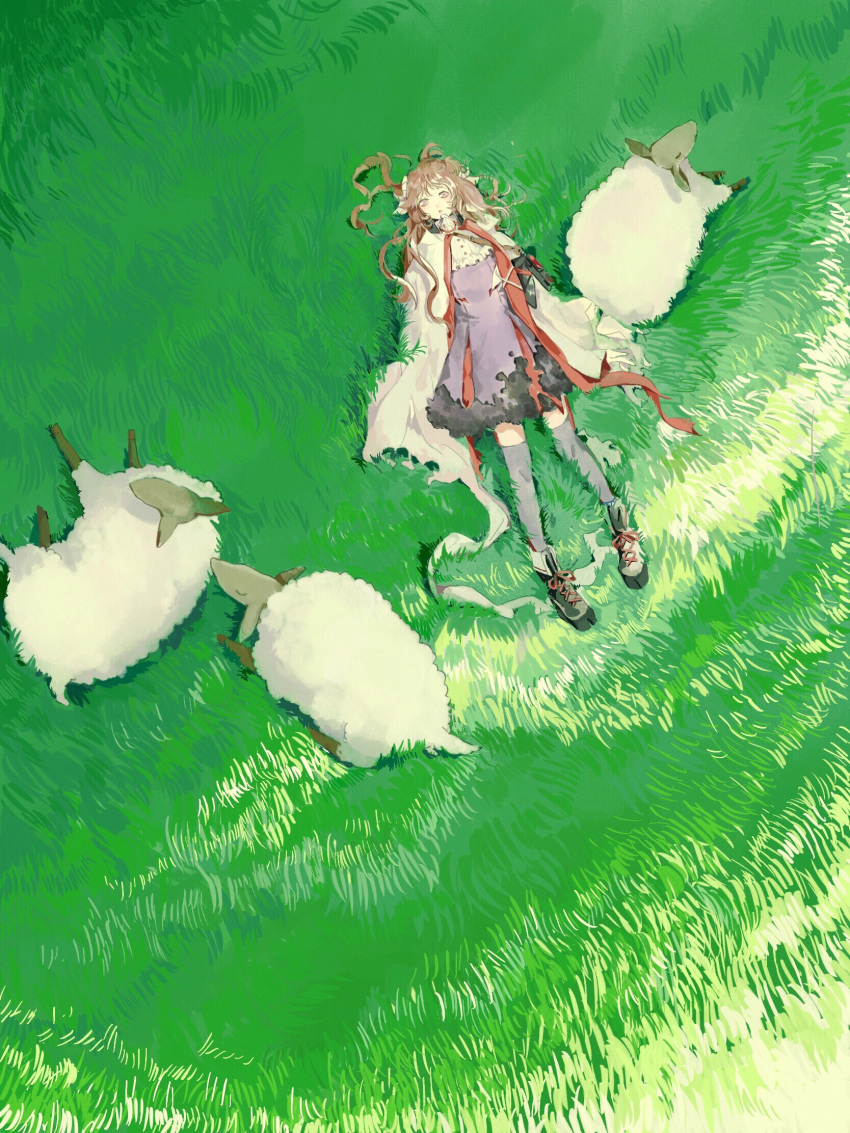1girl ahoge animal animal_ears arknights bangs black_footwear brown_hair cloak cross-laced_footwear day dress eyjafjalla_(arknights) field from_above grass grazing_(livestock) grey_thighhighs hair_ornament highres horns long_hair looking_at_viewer lying nature on_back on_ground outdoors purple_dress sheep sheep_ears sheep_girl sheep_horns shoes thighhighs white_cloak ye_(ran_chiiipye) zettai_ryouiki