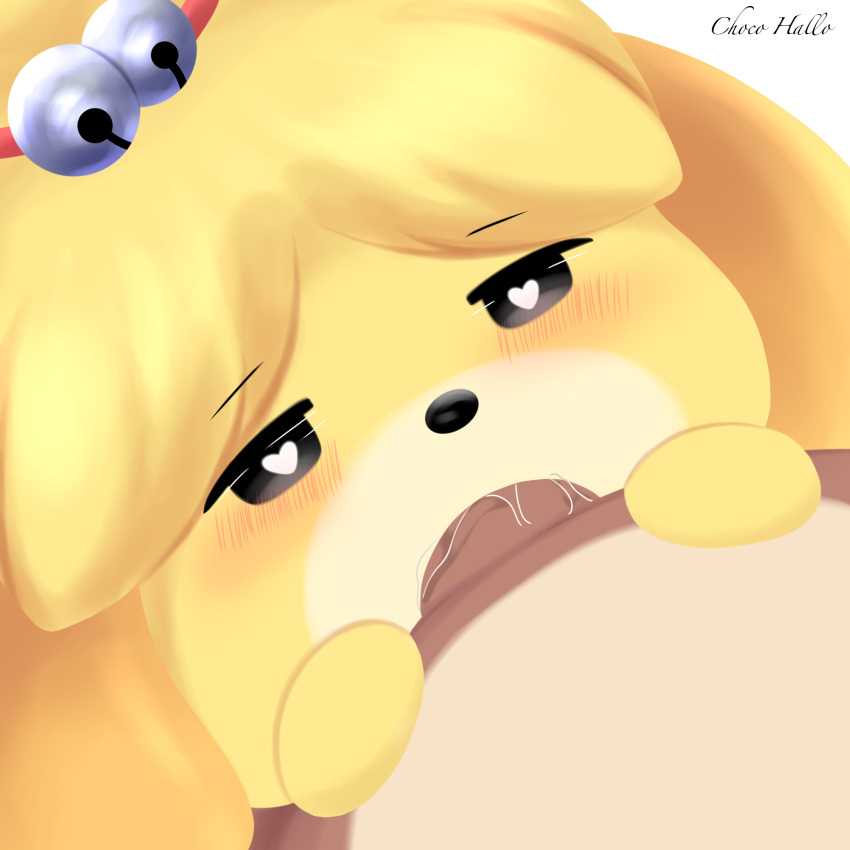 &lt;3 &lt;3_eyes aleuoliver animal_crossing anthro blush bodily_fluids brown_body brown_fur canid canine canis domestic_dog duo fellatio female fur genitals hi_res isabelle_(animal_crossing) male male/female mammal nintendo nude oral penile penis raccoon_dog sex shih_tzu tanuki tom_nook_(animal_crossing) toy_dog video_games yellow_body yellow_fur