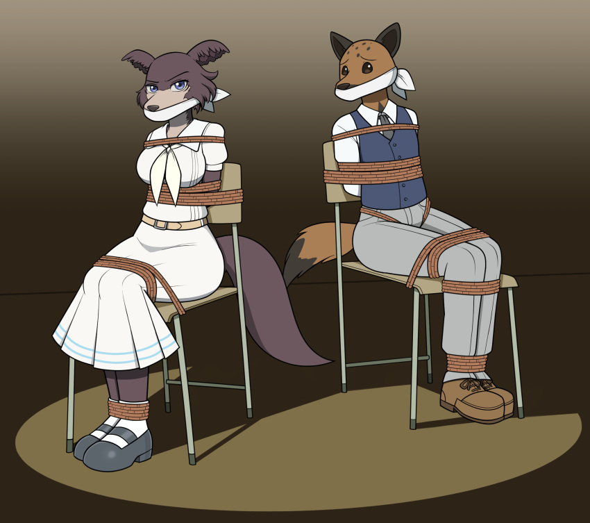 anthro bdsm beastars bondage bound canid canine canis chair chair_bondage clothing crotch_rope duo female furniture gag hi_res hyaenid juno_(beastars) looking_at_viewer male mammal miguno_(beastars) nivek15 otm_gag restraints rope rope_bondage school_uniform spotlight spotted_hyena uniform wolf