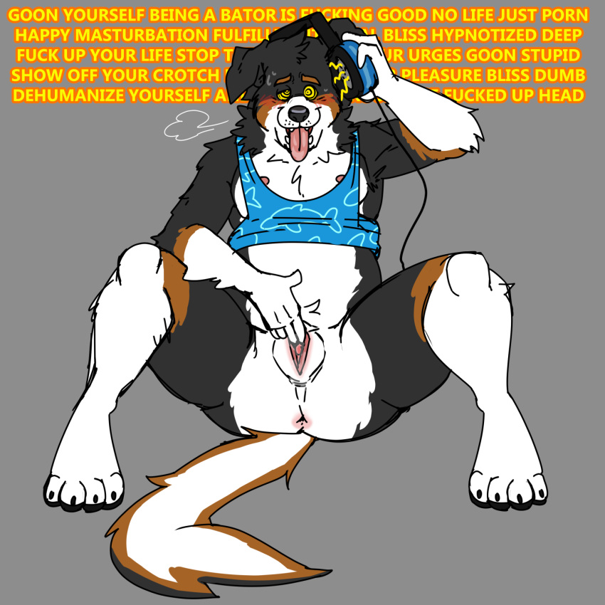 ahegao andromorph anothermeekone anthro australian_shepherd axel_(axeltheaussie) black_body black_fur bodily_fluids canid canine canis chubby_anthro clothing dialogue domestic_dog drooling edging fingering fur genital_fluids gooning headphones herding_dog hi_res hypnosis hypnotic_eyes intersex looking_pleasured mammal masturbation mind_control nonbinary_(lore) orange_body orange_fur pastoral_dog pussy_juice saliva sheepdog shirt solo solo_focus sweat tank_top tongue tongue_out topwear vaginal vaginal_fingering white_body white_fur