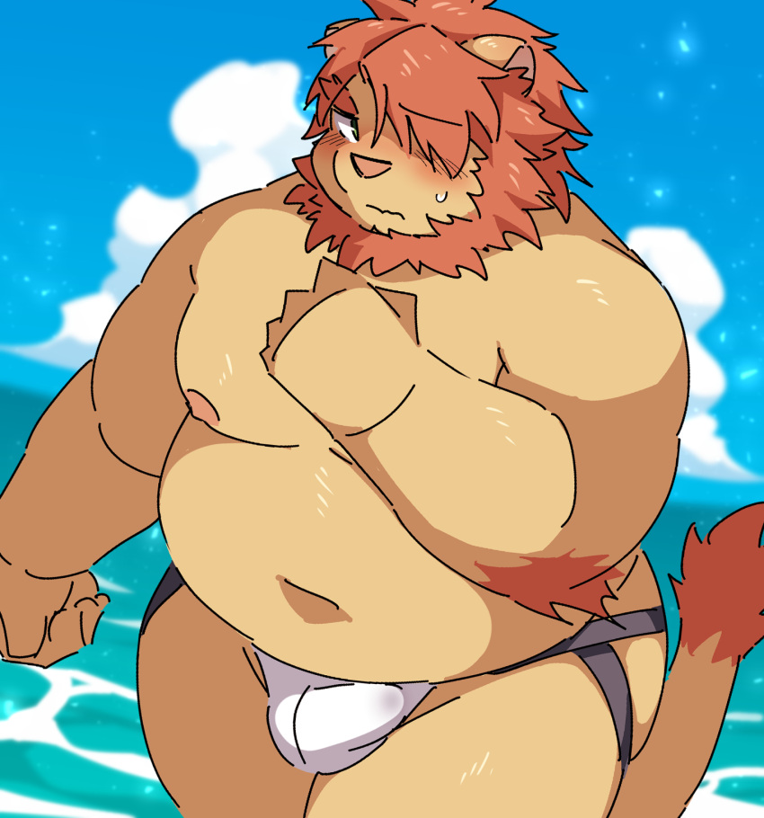 2022 anthro belly big_belly blush bulge cloud felid genital_outline hi_res kemono lifewonders lion male mammal moobs navel nipples overweight overweight_male oz_(tas) pantherine penis_outline ptcmtr solo tokyo_afterschool_summoners video_games water