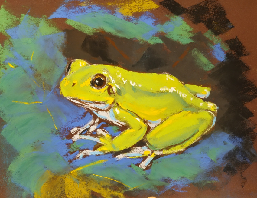 abstract_background ambiguous_gender amphibian feral frog gekasso green_body hi_res multicolored_body pastel_(artwork) realistic simple_background sitting solo traditional_media_(artwork) two_tone_body white_body