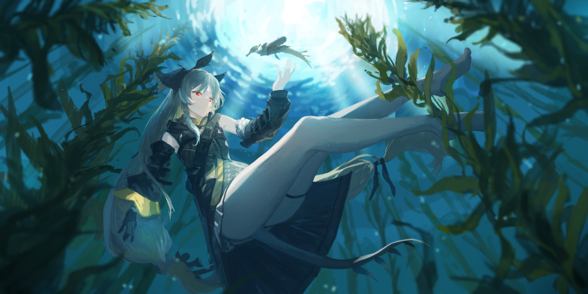 1girl absurdres arknights barefoot black_gloves black_ribbon commentary detached_sleeves dress fish_tail full_body gloves grey_dress grey_hair grey_sleeves hair_ribbon highres kelp leaf_(arknights) light_rays long_hair looking_at_animal low-tied_long_hair miniskirt parted_lips red_eyes ribbon rouzato single_glove skirt sleeveless sleeveless_dress solo tactical_clothes tail underwater very_long_hair weedy_(arknights)