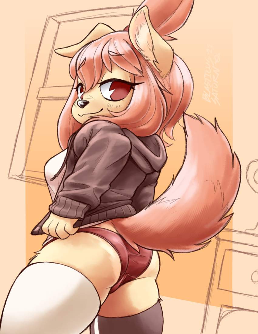 absurd_res anthro biscuit_(blasticussaturn) blasticussaturn butt canid canine clothing female hi_res hoodie legwear looking_at_viewer looking_back mammal panties presenting presenting_hindquarters raised_tail red_eyes signature simple_background smile solo thigh_highs topwear underwear