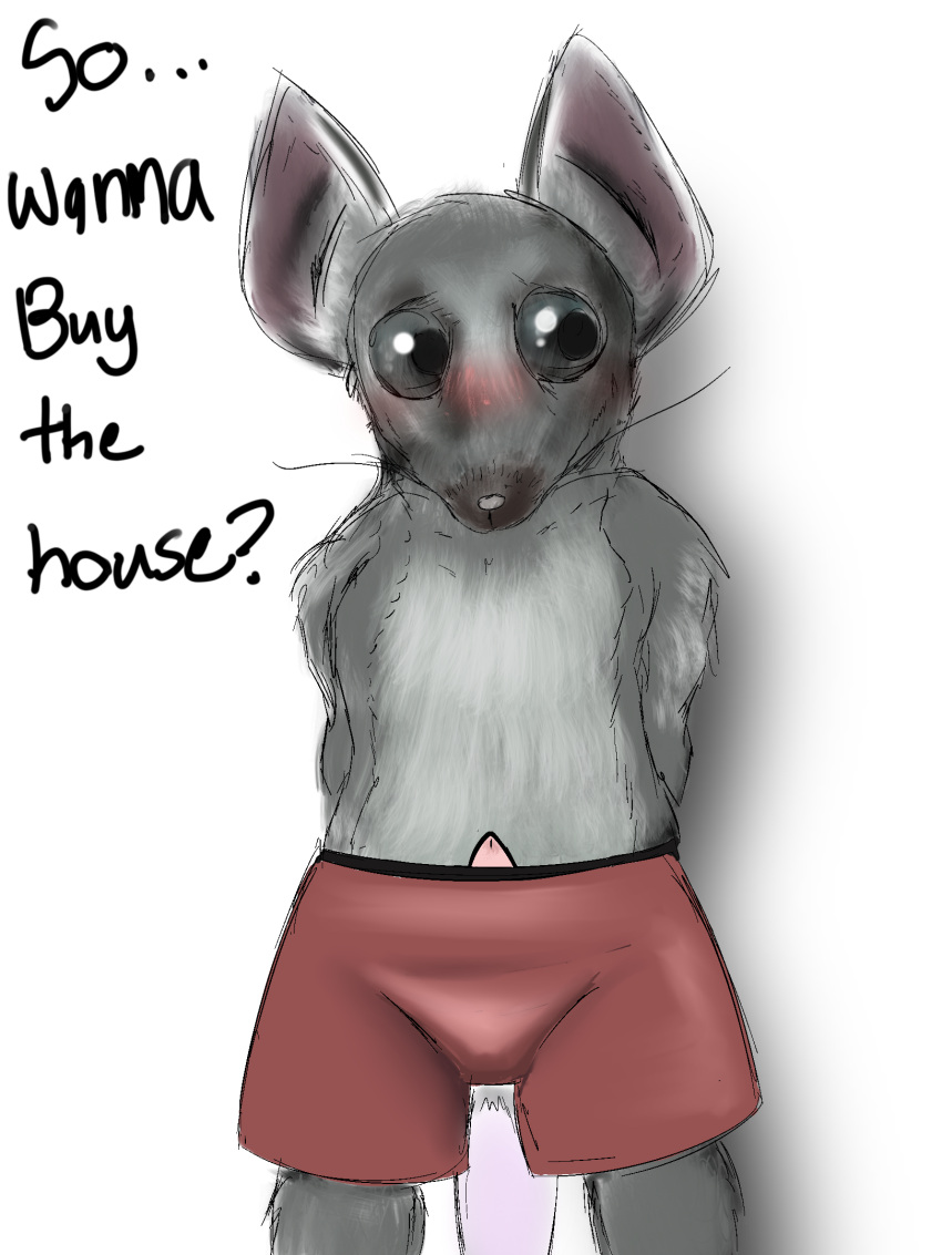 2022 3:4 anthro big_eyes boxers_(clothing) clothed clothing dialogue english_text fur genitals grey_body grey_eyes grey_fur hands_behind_back hi_res illegaleel male mammal murid murine netflix penis poking_out portrait rat rodent simple_background solo text the_house_(netflix) three-quarter_portrait topless topless_anthro topless_male underwear white_background