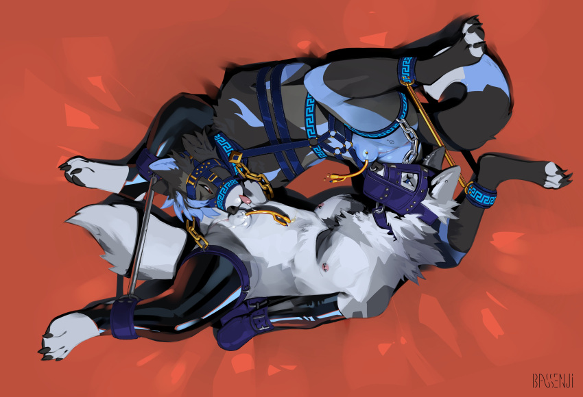 2022 69_position absurd_res animal_genitalia anthro anthro_on_anthro arms_tied arrin artist_name bar barefoot bassenji bdsm black_claws black_clothing black_legwear black_pawpads black_stockings blue_body blue_fur blue_hair blue_harness blue_highlights bodily_fluids body_modification bondage bound canid canine canis castration catheter chain claws clothed clothing collar countershade_feet countershade_tail countershade_torso countershading digital_media_(artwork) digital_painting_(artwork) domestic_dog dracenfer drooling duo eunuch feet fur genital_fluids genital_mutilation genital_torture genitals gloves grey_body grey_fur hair handwear harness hi_res highlights_(coloring) husky latex latex_gloves latex_stockings leaking leash legwear light_body light_countershading male mammal medical_instrument mittens mitts muzzle_(disambiguation) muzzle_(object) muzzled neck_tuft nipple_piercing nipples nonbinary_(lore) nordic_sled_dog oral pawpads paws peeing piercing pink_nipples pink_tongue red_eyes red_sheets saliva scar scientific_instrument sex sheath spitz spreading stockings submissive submissive_anthro submissive_male toe_claws tongue tuft urine watersports white_body white_fur white_inner_ear wolf