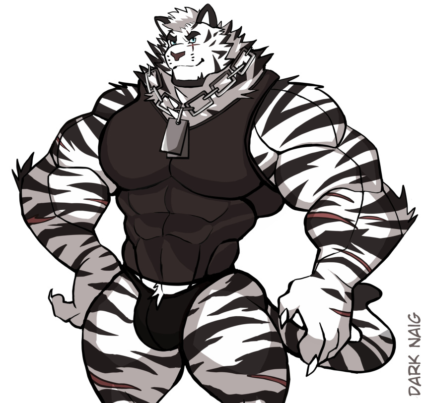 2022 abs absurd_res anthro arknights artist_name barazoku biceps big_muscles bulge chain claws clothed clothing darknaigart dog_tags eyebrows felid fur hair hi_res huge_muscles hypergryph looking_at_viewer male mammal mountain_(arknights) muscular muscular_anthro muscular_male obliques pantherine pecs scar shirt simple_background smile solo standing studio_montagne tank_top thong tiger tight_clothing topwear tuft underwear video_games white_background