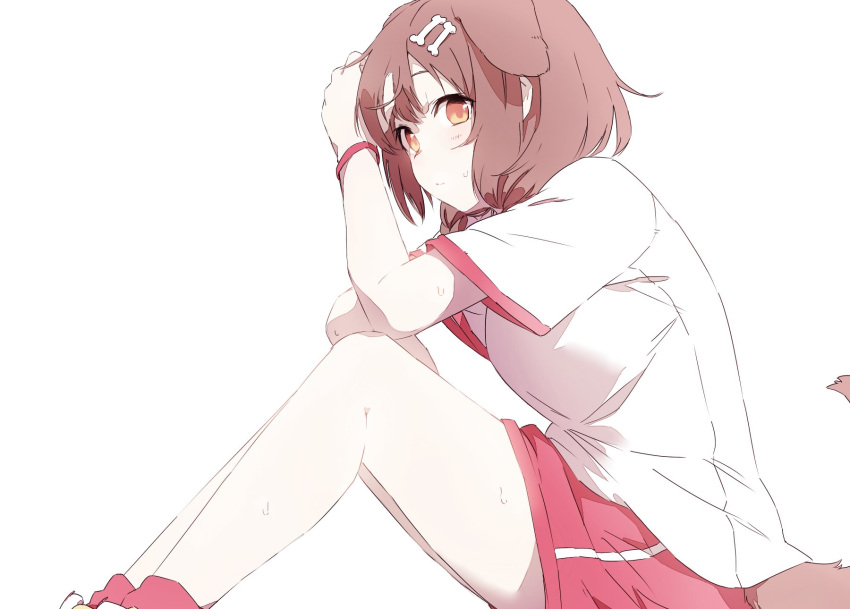 1girl animal_ears bangs bare_legs bone_hair_ornament brown_eyes brown_hair closed_mouth dog_ears dog_tail extra_ears from_side hair_ornament hashiguma highres hololive inugami_korone knees_up red_shorts shirt short_sleeves shorts sideways_glance simple_background sitting solo sweat tail virtual_youtuber white_background white_shirt
