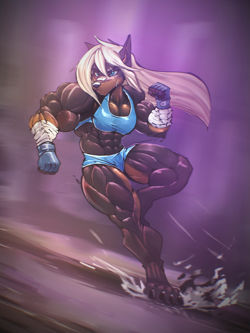 abs absurd_res anthro biceps bra canid canine canis clothing dobermann domestic_dog female fight fighting_pose gloves handwear hi_res inner_ear_fluff mammal multicolored_body muscular muscular_anthro muscular_female muscular_thighs pinscher pose rizzyofen scar solo sports_bra tuft two_tone_body underwear
