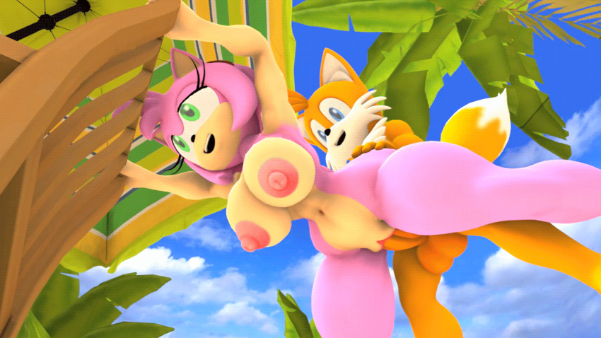 16:9 2022 3d_(artwork) 3d_animation amy_rose animated anthro anthro_on_anthro anthro_penetrated anthro_penetrating anthro_penetrating_anthro balls bent_over big_balls big_breasts big_nipples big_penis black_nose black_pupils blue_eyes bouncing_balls bouncing_breasts breasts canid canine cheek_tuft curvy_figure digital_media_(artwork) dipstick_tail doggystyle erection eulipotyphlan facial_tuft female female_penetrated fox from_behind_position fur genitals green_eyes hair hedgehog hip_grab interspecies looking_down looking_up loop male male/female male_penetrating male_penetrating_female mammal markings miles_prower nipples nude orange_balls orange_body orange_fur orange_penis outside palm_tree penetration penis pink_body pink_fur pink_hair pink_nipples plant pupils pussy red_pussy sega sex smile sonic_the_hedgehog_(series) tail_markings tan_body tan_fur tan_inner_ear thick_thighs thrusting tree tuft vaginal vaginal_penetration voluptuous wector white_body white_fur wide_hips widescreen