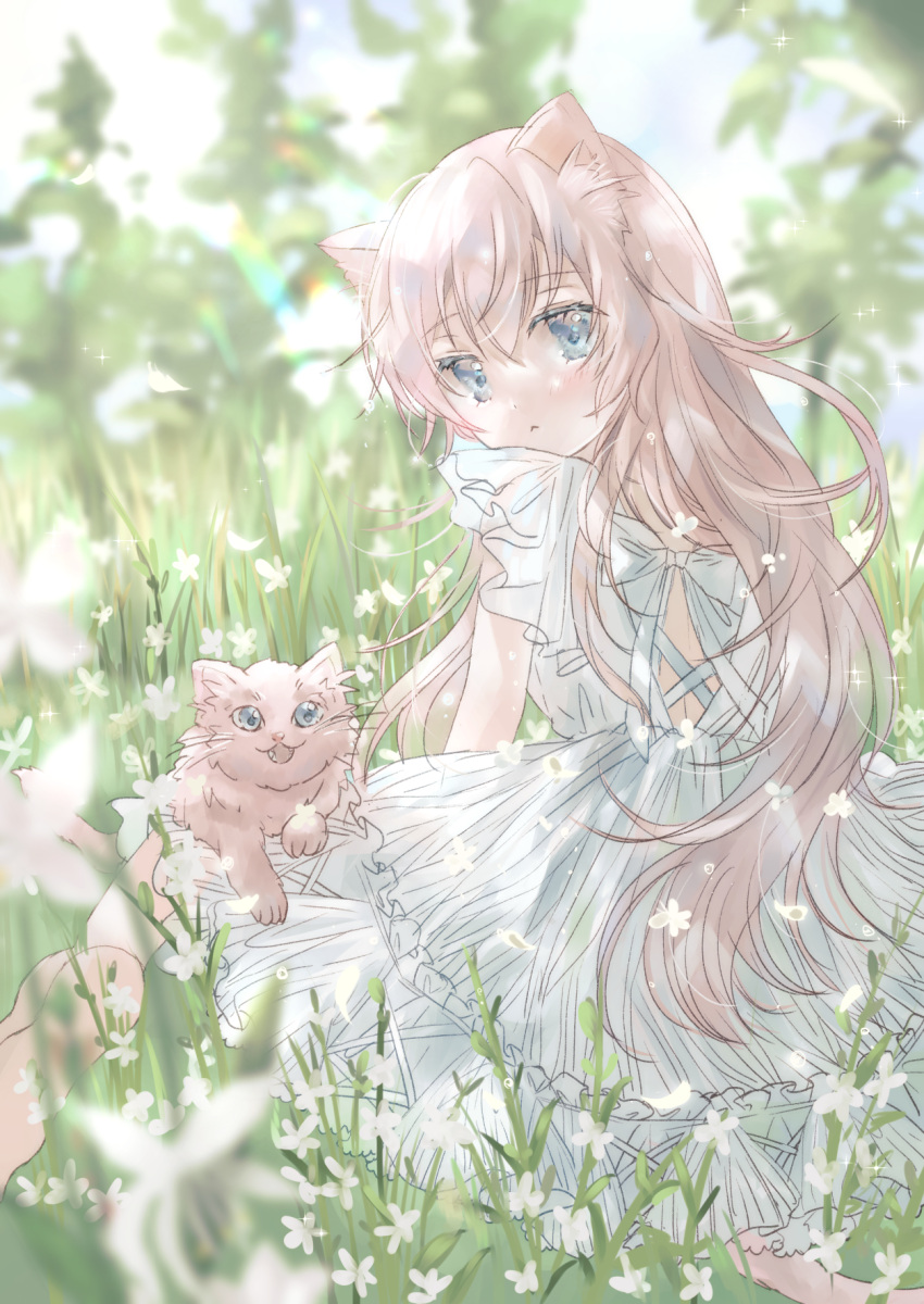 1girl animal_ears animal_on_lap blue_eyes bunapi_(bunapii) cat cat_on_lap cat_tail day dress flower grass highres light_brown_hair long_hair looking_at_viewer looking_back on_lap original outdoors summer tail white_dress