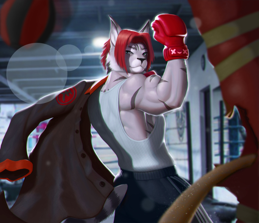 2022 anthro athletic athletic_anthro athletic_male black_bottomwear black_clothing black_shorts bottomwear boxing boxing_gloves broken clothing felid feline fighting_ring furayob gym handwear hi_res inside lights lynx male mammal muscular sand shorts solo sport taryn_crimson