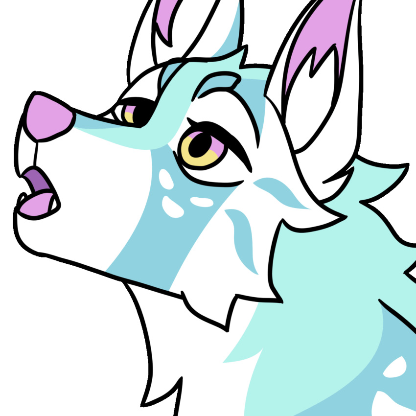 animated animatedfurry animatedicon anthro anthroart arte blush canid canine canis commissionart digital_media_(artwork) digitaldrawing domestic_dog drawing embarrassed feral feralart furry furryanimation furryart furrydrawing hi_res icon invalid_tag mammal opencommission opencommissions sfw soft wolf