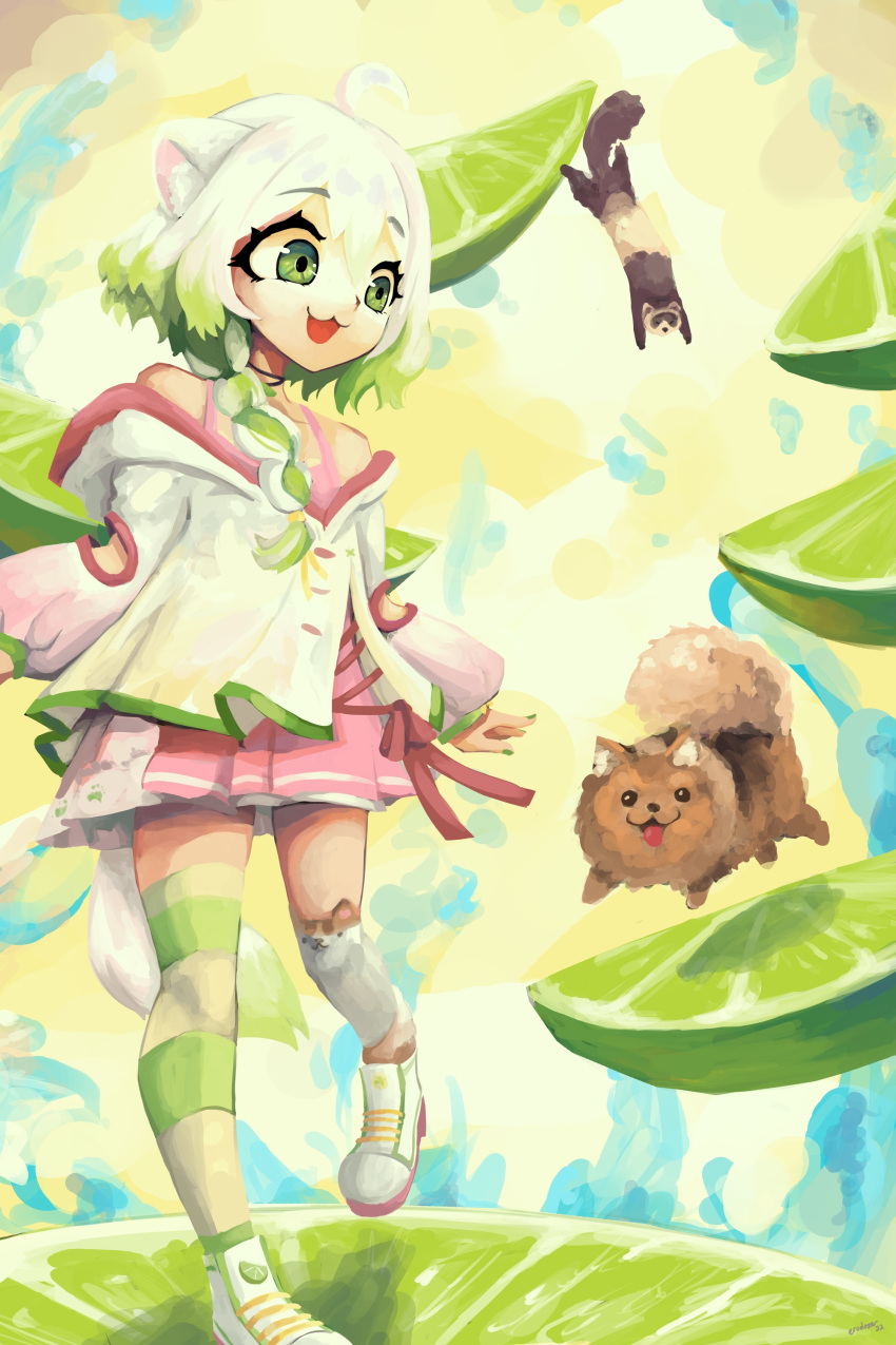 1girl :3 absurdres ahoge animal animal_ear_legwear animal_ears asymmetrical_legwear braid dog english_commentary erodozer ferret ferret_ears ferret_girl food fruit green_eyes green_hair green_thighhighs highres jacket laimu_(vtuber) lime_(fruit) lime_slice long_sleeves looking_at_another mismatched_legwear multicolored_hair nail_polish namesake open_mouth pink_shirt pomeranian_(dog) puffy_long_sleeves puffy_sleeves shirt shoes short_hair single_sock single_thighhigh socks solo splashing standing striped striped_thighhighs tail thighhighs two-tone_hair vinesauce virtual_youtuber water white_footwear white_hair white_jacket white_thighhighs